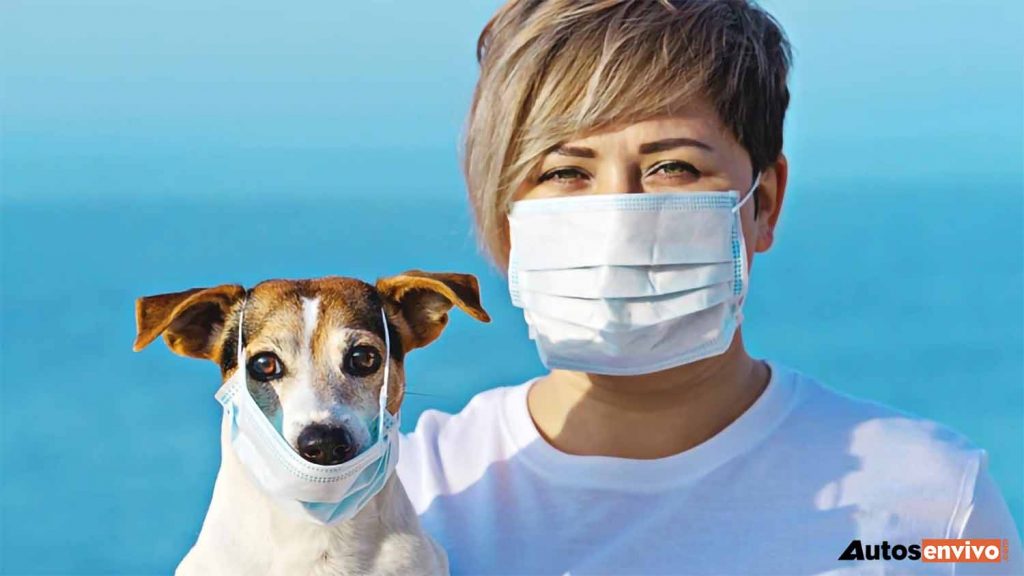 PURINA a Pet Parents de México